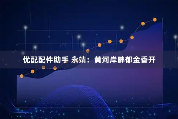 优配配件助手 永靖：黄河岸畔郁金香开