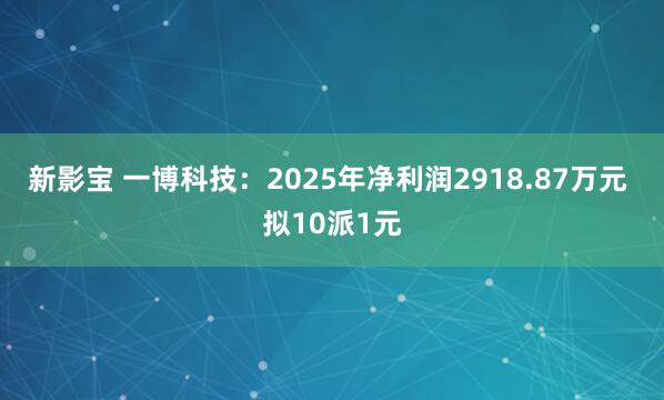 新影宝 一博科技：2025年净利润2918.87万元 拟10派1元